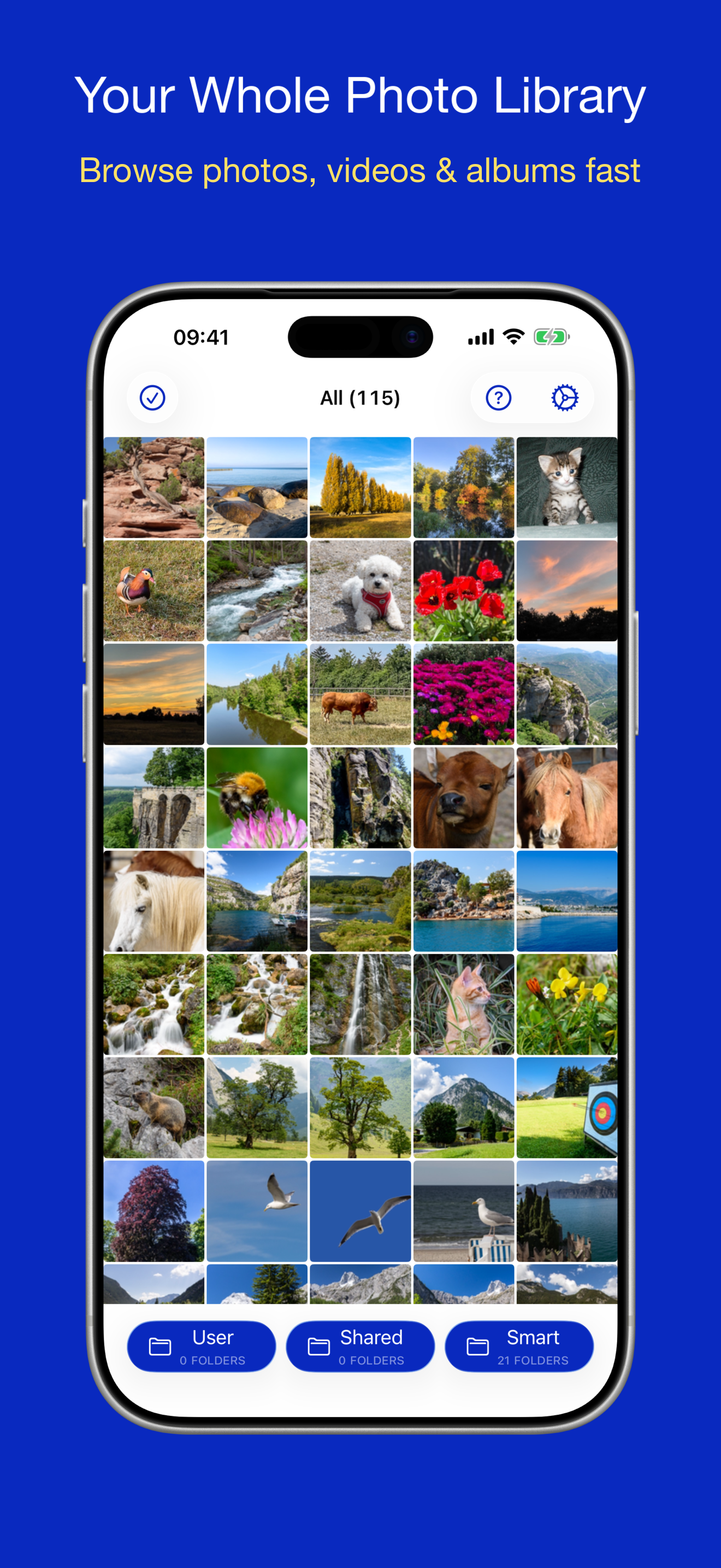 PhotoView gallery showing a thumbnail grid of the photo library